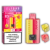 ELF BAR DUAL 10K RASPBERRY EDITION