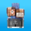 DUAL 10K REFILLABLE POD BLUEBERRY EDITION